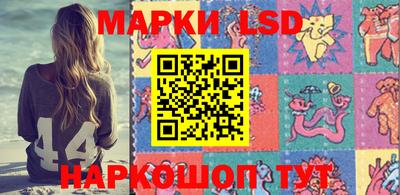 шишки Донской