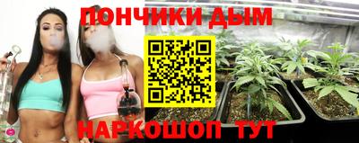 стаф Дубна