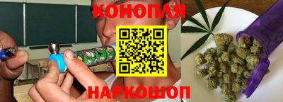 шишки Донской