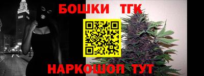 стаф Дубна