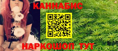 стаф Дубна