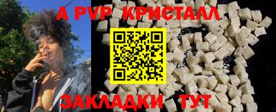 стаф Дубна