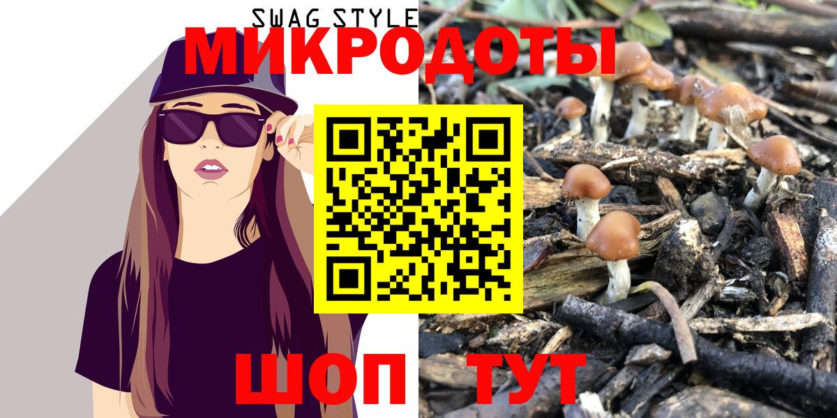Псилоцибиновые грибы Cubensis Можга