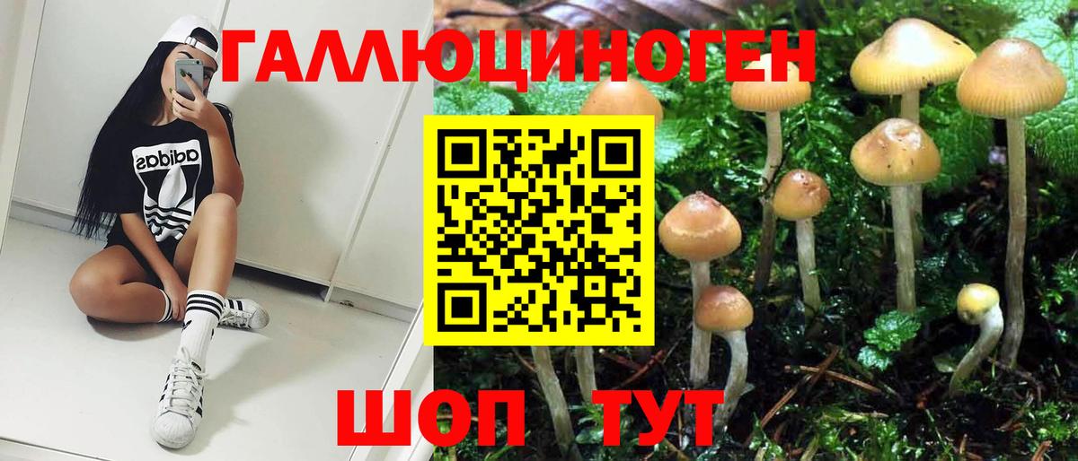 где можно купить   Галлюциногенные грибы Cubensis  Вход с VPN  Можга 