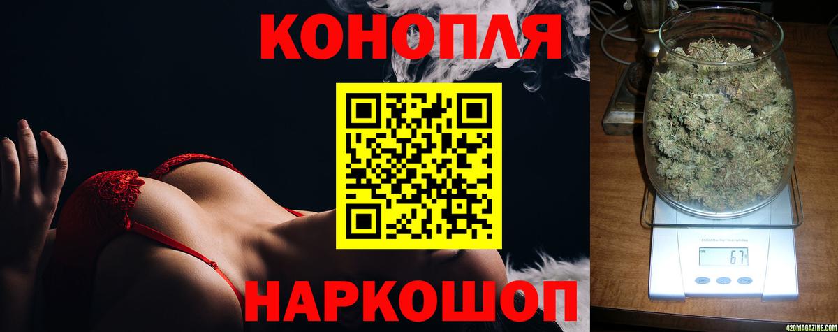 Канабис OG Kush Можга